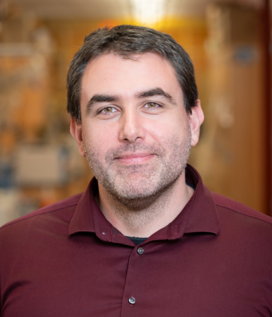 Ludmil Alexandrov, PhD